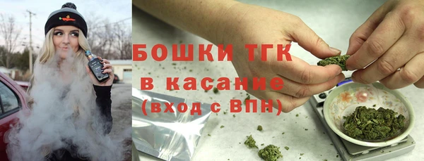 дживик Майский