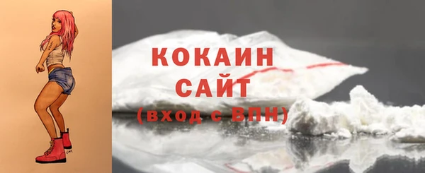 дживик Майский
